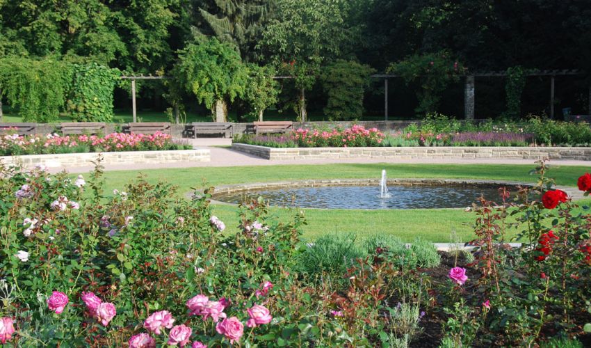 Norbert Farwick GmbH – Garten- und Landschaftsbau