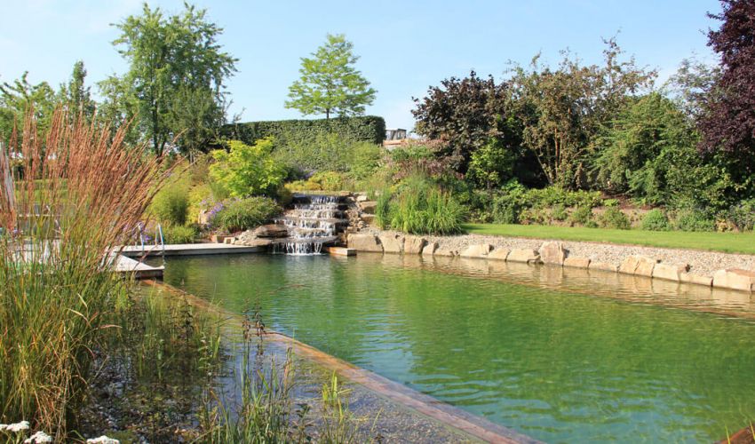 Leistungen Pool- und Teichbau: Farwick Gala-Bau