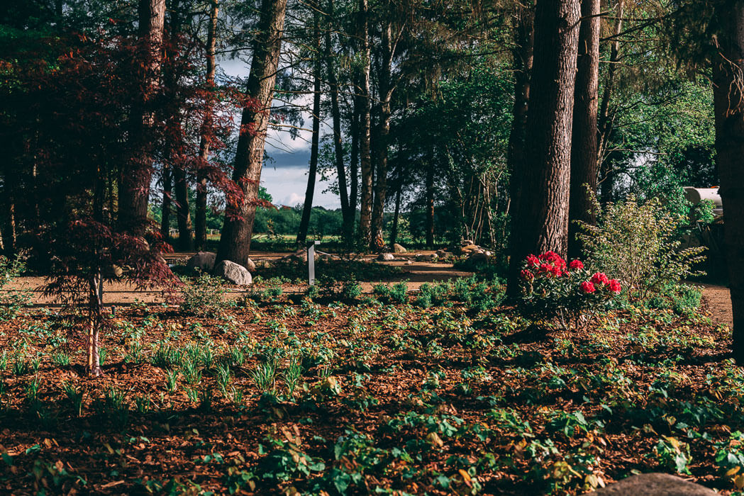 Norbert Farwick GmbH – Garten- und Landschaftsbau – Privatgärten