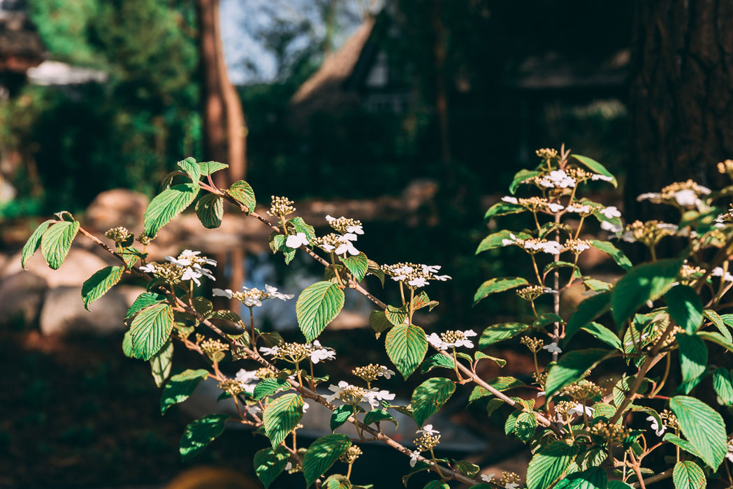 Norbert Farwick GmbH – Garten- und Landschaftsbau – Privatgärten