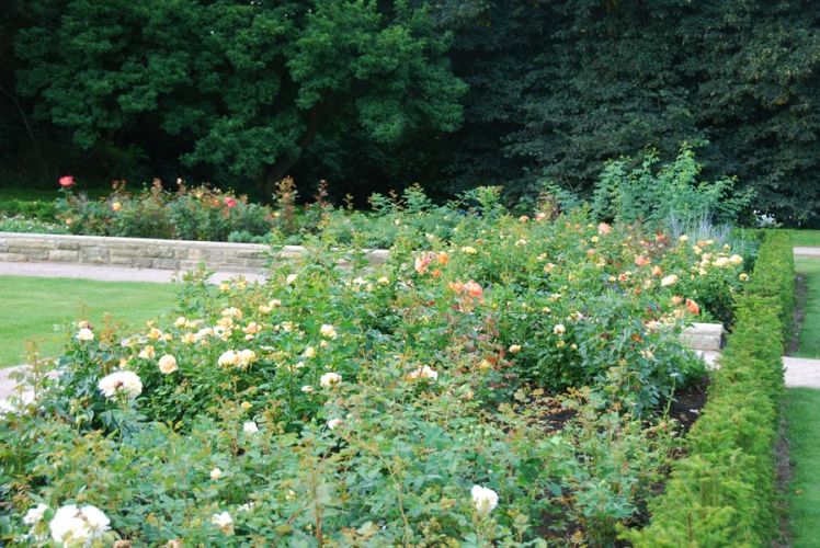 Norbert Farwick GmbH – Projekt Rosengärten im Stadtpark