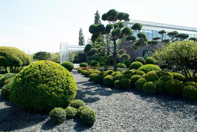 Norbert Farwick GmbH – Projekt Außenanlage bei Garten von Eden