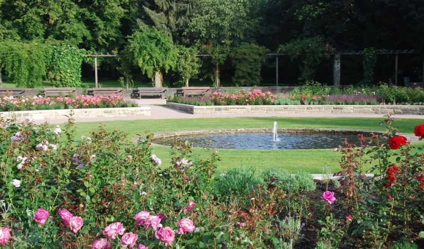 Norbert Farwick GmbH – Garten- und Landschaftsbau