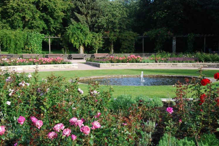 Norbert Farwick GmbH – Projekt Rosengärten im Stadtpark